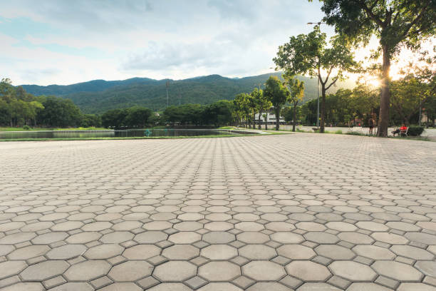 Best Residential Driveway Paver Services  in Philadelphia, MS